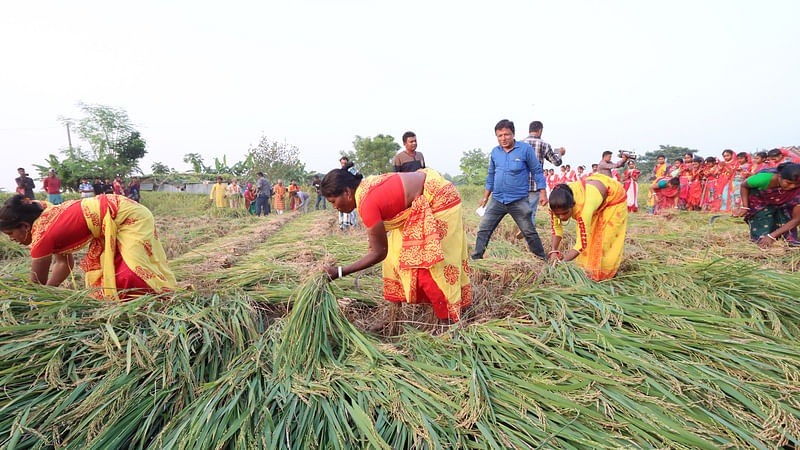 ছবি: প্রথম আলো