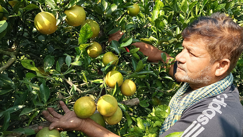 ছবি: প্রথম আলো