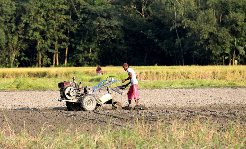 ফসল বোনার জন্য জমি প্রস্তুত করার কাজে ব্যস্ত এক কৃষক।