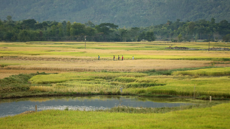 ছবি: আনিস মাহমুদ