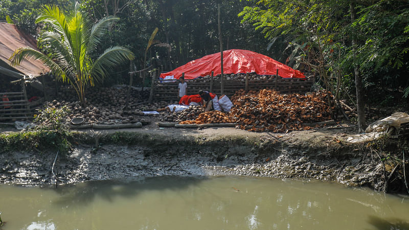 খালের পাড়ে চলছে নারকেলের ছোবড়া আলাদা করার কাজ