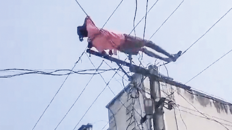 ‘এক্স’ ব্যবহারকারী সূর্য রেড্ডির পেজে দেওয়া ভিডিও থেকে নেওয়া