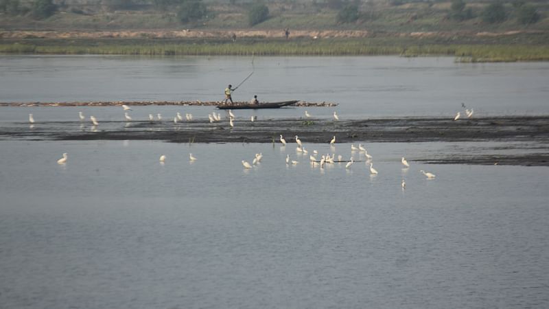 ছবি: শিমুল তরফদার