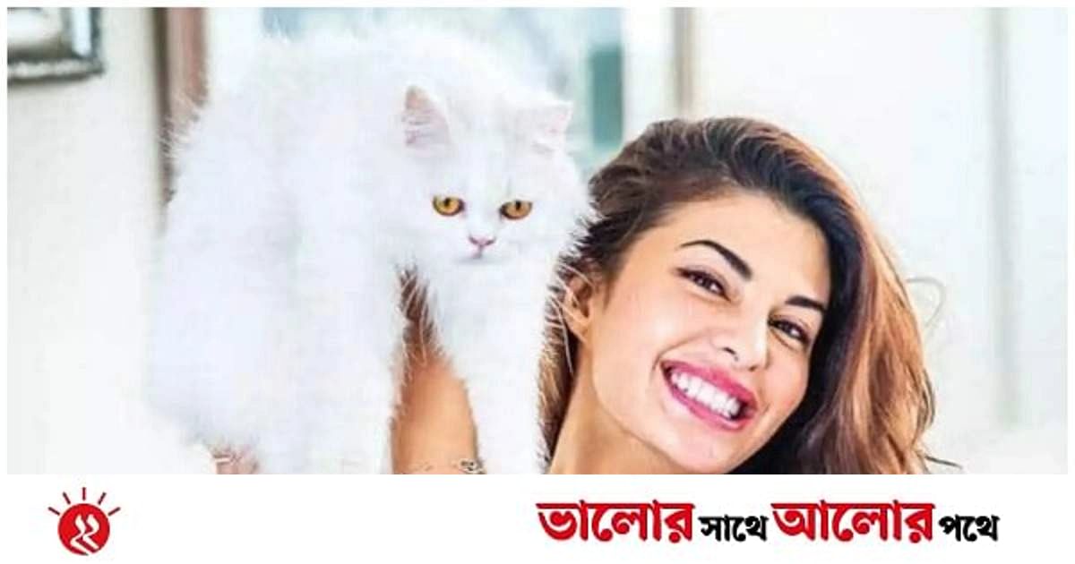 জিজ্ঞাসাবাদের মুখে জ্যাকুলিন জিজ্ঞাসাবাদের মুখে জ্যাকুলিন