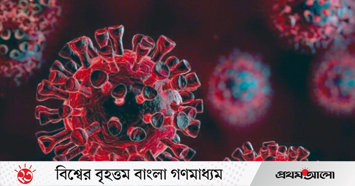 জিনগত বৈশিষ্ট্যে কোভিডে মৃত্যুঝুঁকি বেশি দক্ষিণ এশীয়দের জিনগত বৈশিষ্ট্যে কোভিডে মৃত্যুঝুঁকি বেশি দক্ষিণ এশীয়দের