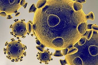 This handout illustration image obtained 27 February 2020 courtesy of the US Food and Drug Administration shows the coronavirus,COVID-19.