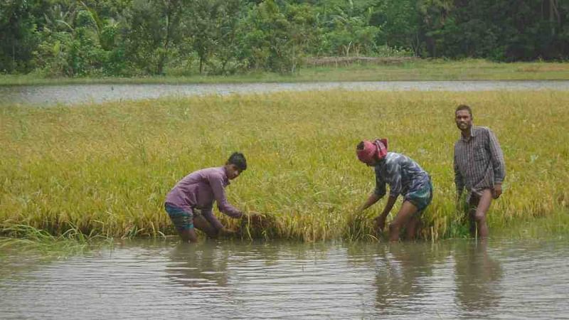 Prothom Alo File Photo