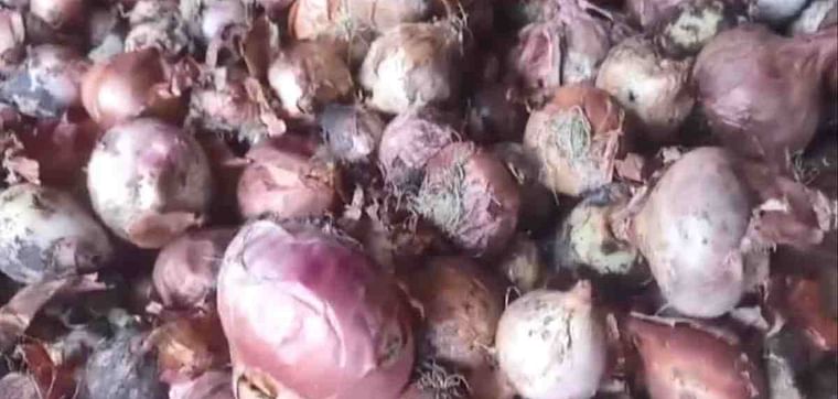 Rotten onions arrive from India