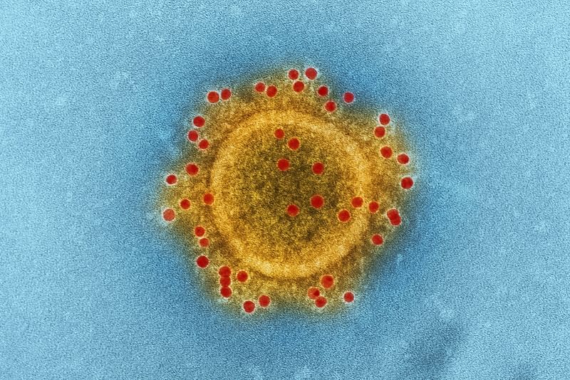 An illustration of coronavirus