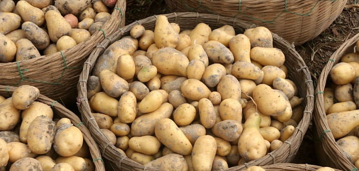 TCB to sell potato at Tk 25 per kg