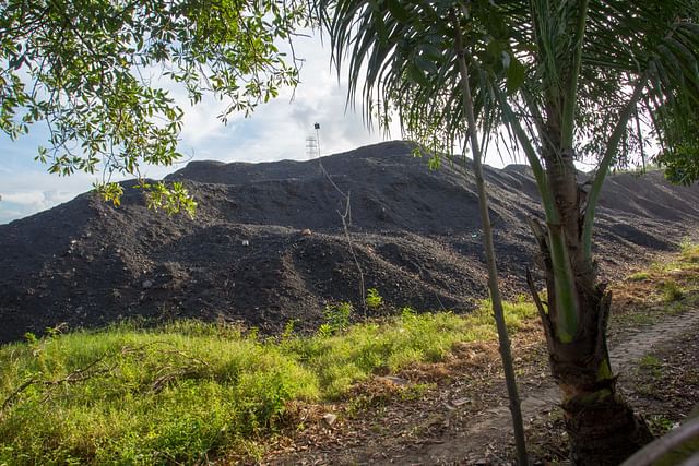 Coal is being stored in large area by occupying the government land.