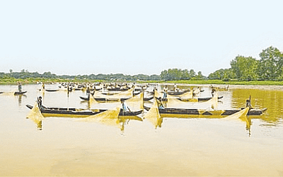Extraction of water from the river Halda will destroy a unique breeding ground for fish 