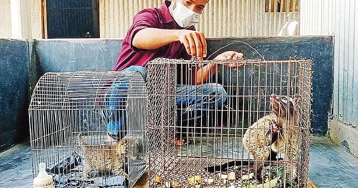 Wild animals find shelter with Sohag | Prothom Alo