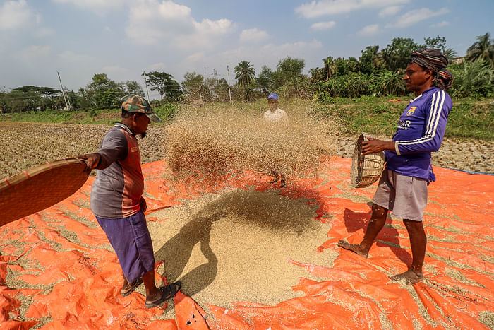 Two men are winnowing paddy in Beel Pabla area of Dumuria upazila in Khulna on 6 May 2021.