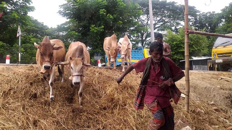 Prothom Alo file photo