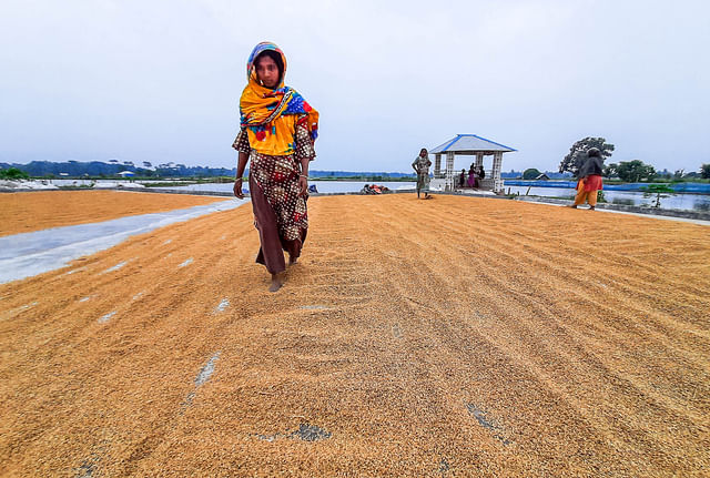 A woman worker processes paddy at a rice mill in Shalua of Khulan’s Dumuria upazila on 13 November 2021. 