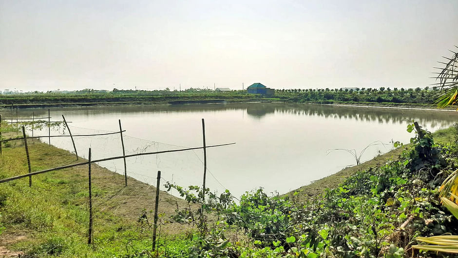 Education minister's brother Jawadur Rahim built a huge farm grabbing khas land in Chandpur