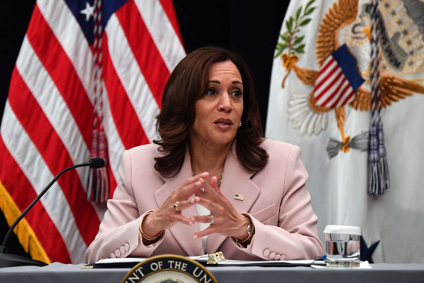 US Vice President Kamala Harris speaks during a roundtable with business executives at the IV CEO Summit of the Americas on the sidelines of the IX Summit of the Americas in Los Angeles, California on 7 June, 2022