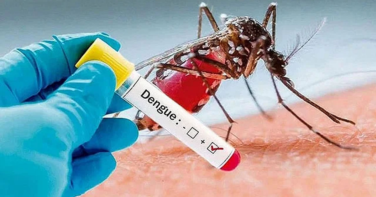 dengue-deaths-cross-300