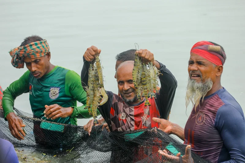 Prothom Alo