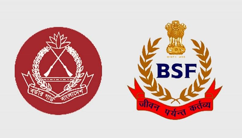 BSF Guwahati Frontier: 110 cattle seized along Indo-Bangladesh border -  News Live