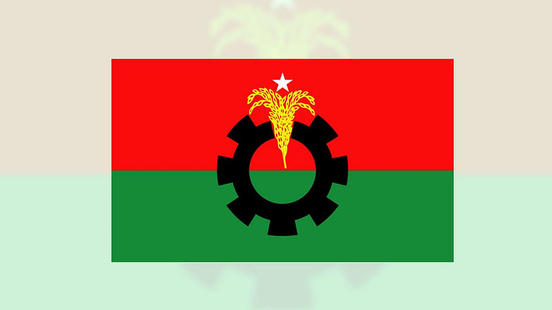 BNP logo