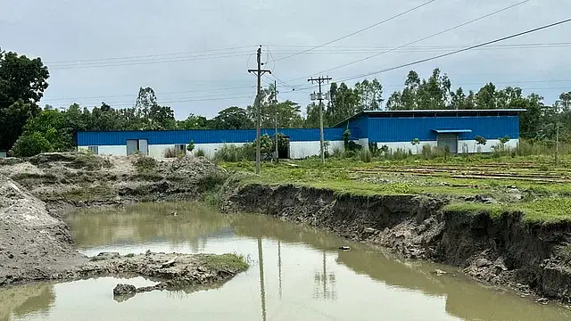 Benazir Ahmed's family's fish food manufacturing factory. 28 May, Bairagitol, Sahapur union, Gopalganj Sadar