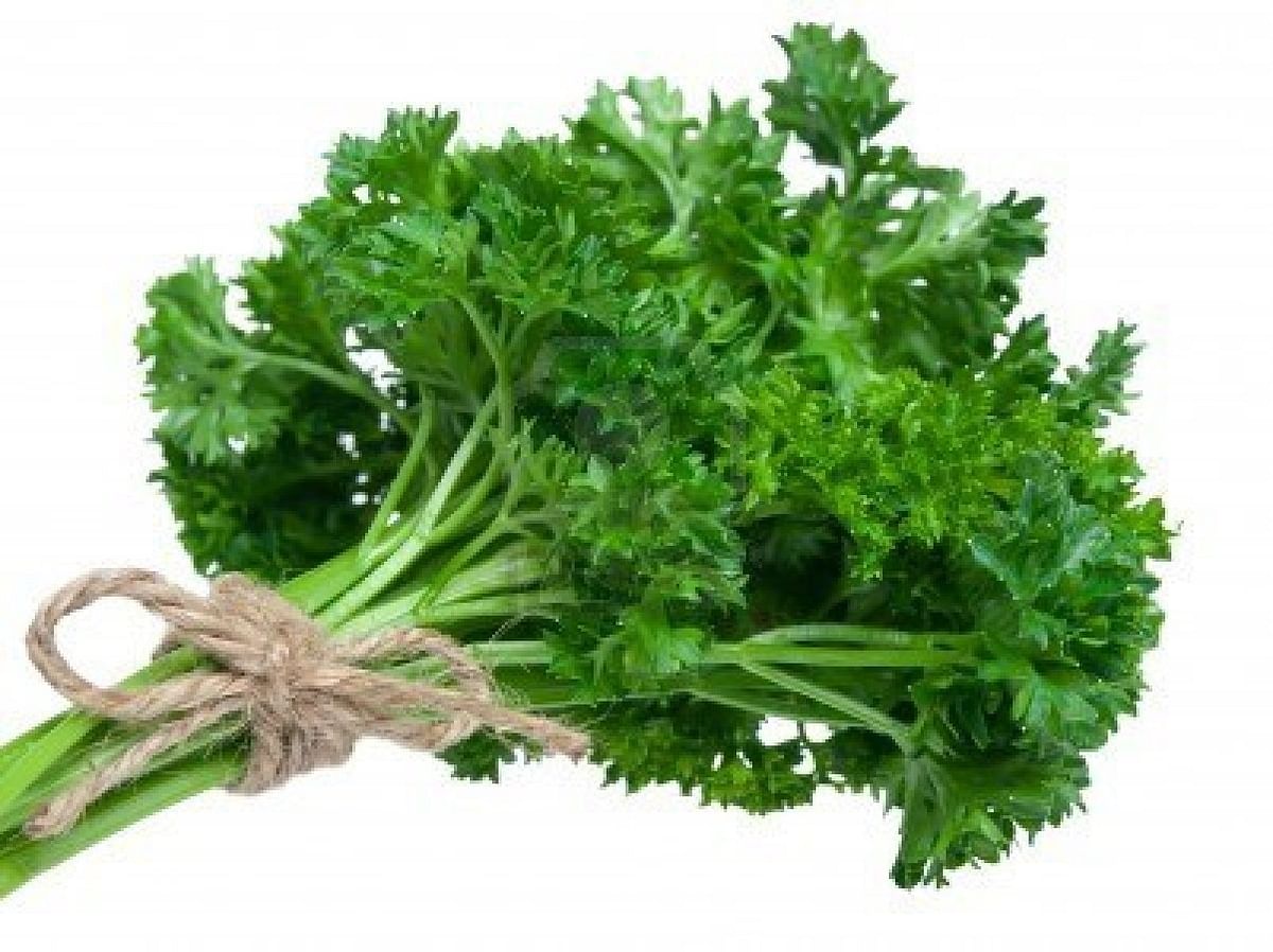 A parsley-bunch. File photo