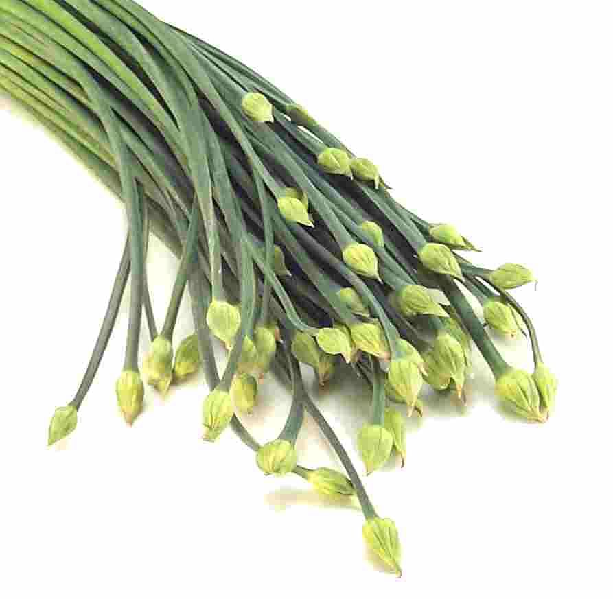 Chives also have mild stimulant, diuretic, and antiseptic properties.File photo