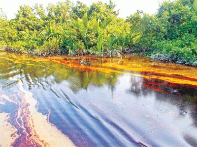 UN concerened over oil spill in Sundarbans. Photo:Ehsan-Ud-Daula