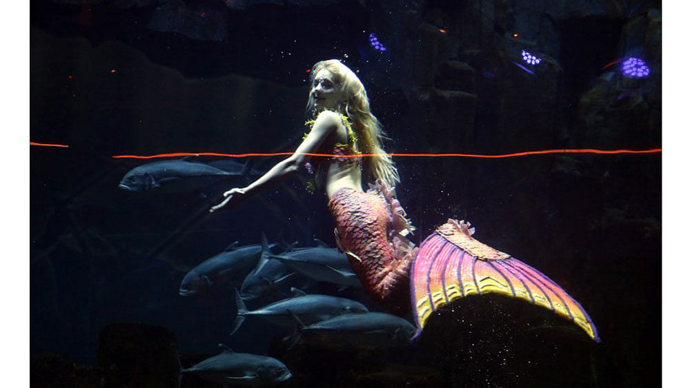 Performer Claire Baudet is pictured during her 10-minute show "Claire la sirene" (Claire the mermaid) at the Paris Aquarium on April 19, 2015. Photo: AFP