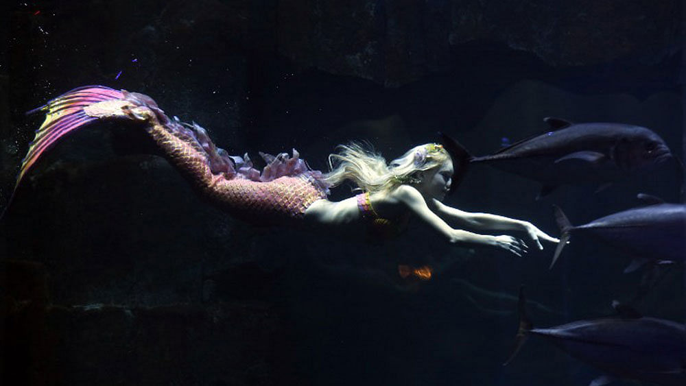 Performer Claire Baudet is pictured during her 10-minute show "Claire la sirene" (Claire the mermaid) at the Paris Aquarium on April 19, 2015. Photo: AFP