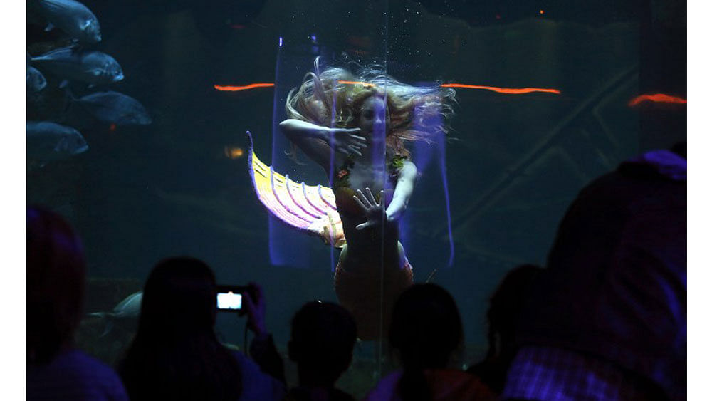 Performer Claire Baudet is pictured during her 10-minute show "Claire la sirene" (Claire the mermaid) at the Paris Aquarium on April 19, 2015. Photo: AFP