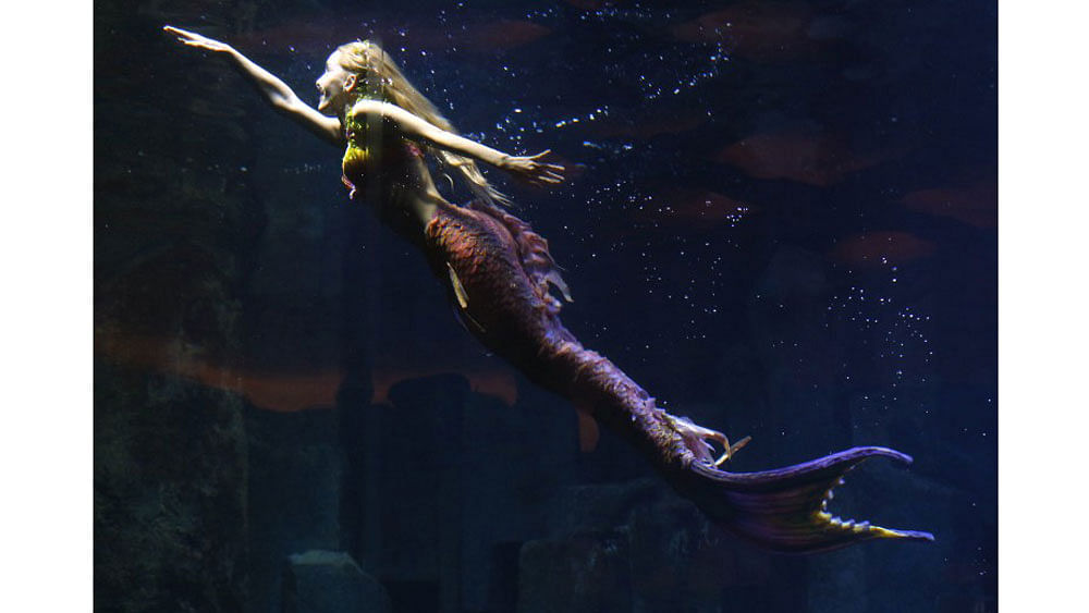 Performer Claire Baudet is pictured during her 10-minute show "Claire la sirene" (Claire the mermaid) at the Paris Aquarium on April 19, 2015. Photo: AFP