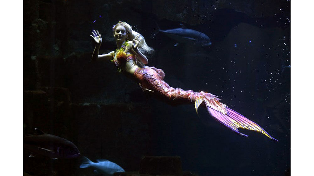 Performer Claire Baudet is pictured during her 10-minute show "Claire la sirene" (Claire the mermaid) at the Paris Aquarium on April 19, 2015. AFP PHOTO / FRANCOIS GUILLOT