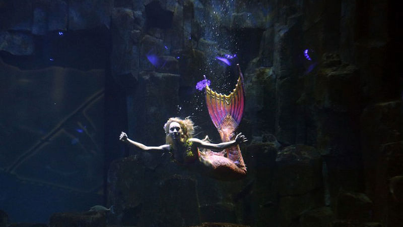 Performer Claire Baudet is pictured during her 10-minute show "Claire la sirene" (Claire the mermaid) at the Paris Aquarium on April 19, 2015. Photo: AFP