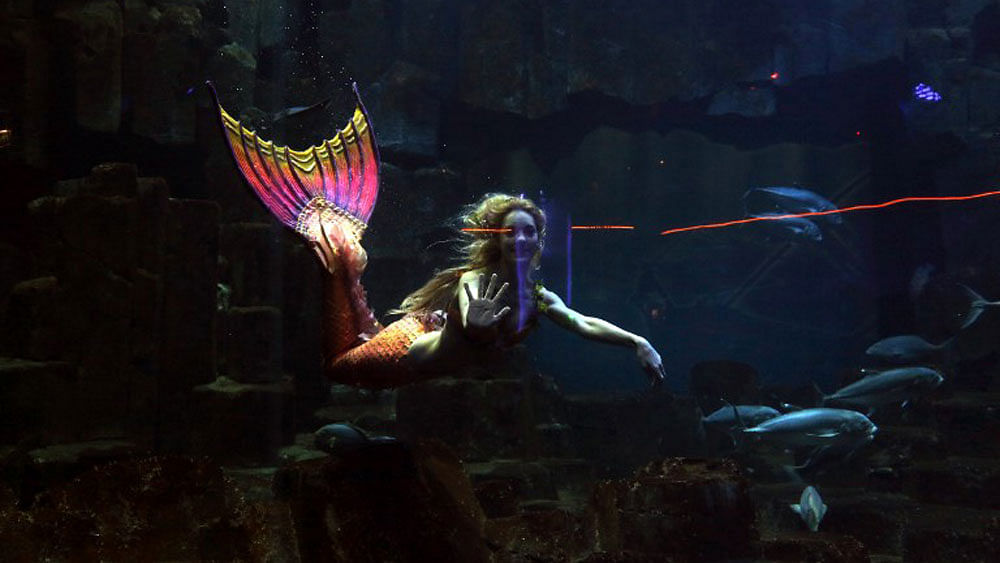 Performer Claire Baudet is pictured during her 10-minute show "Claire la sirene" (Claire the mermaid) at the Paris Aquarium on April 19, 2015. Photo: AFP