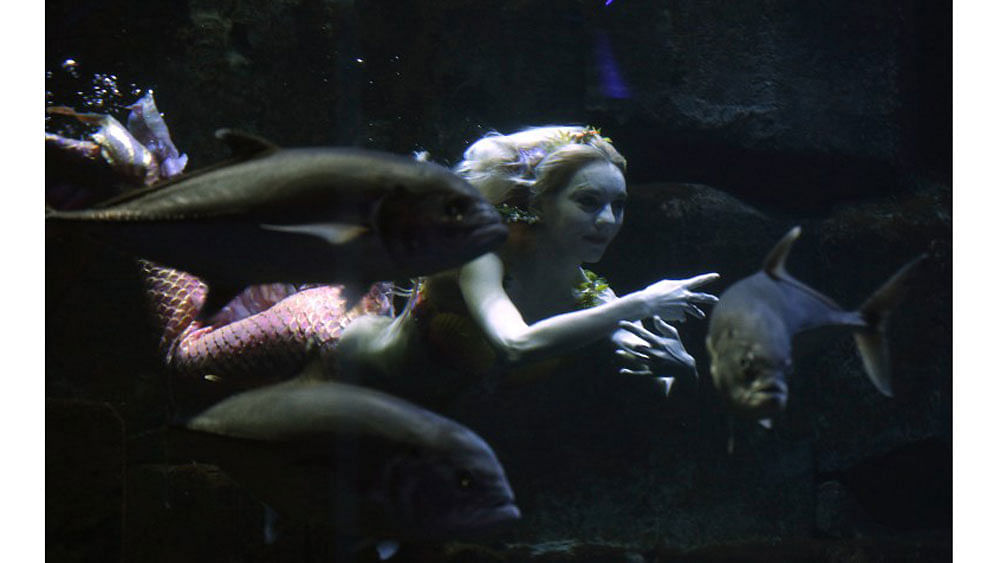 Performer Claire Baudet is pictured during her 10-minute show "Claire la sirene" (Claire the mermaid) at the Paris Aquarium on April 19, 2015. Photo: AFP