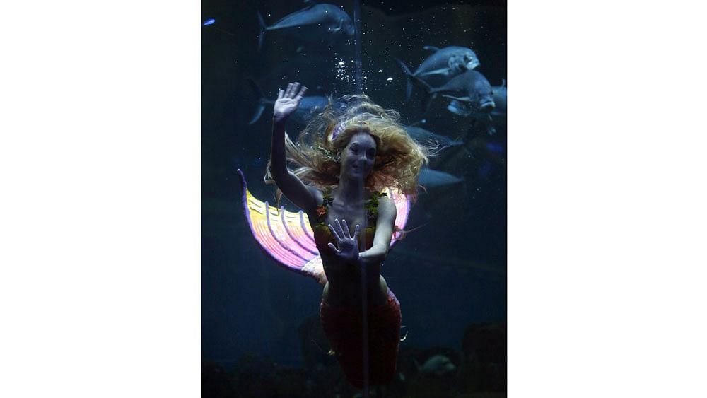 Performer Claire Baudet is pictured during her 10-minute show "Claire la sirene" (Claire the mermaid) at the Paris Aquarium on April 19, 2015. Photo: AFP