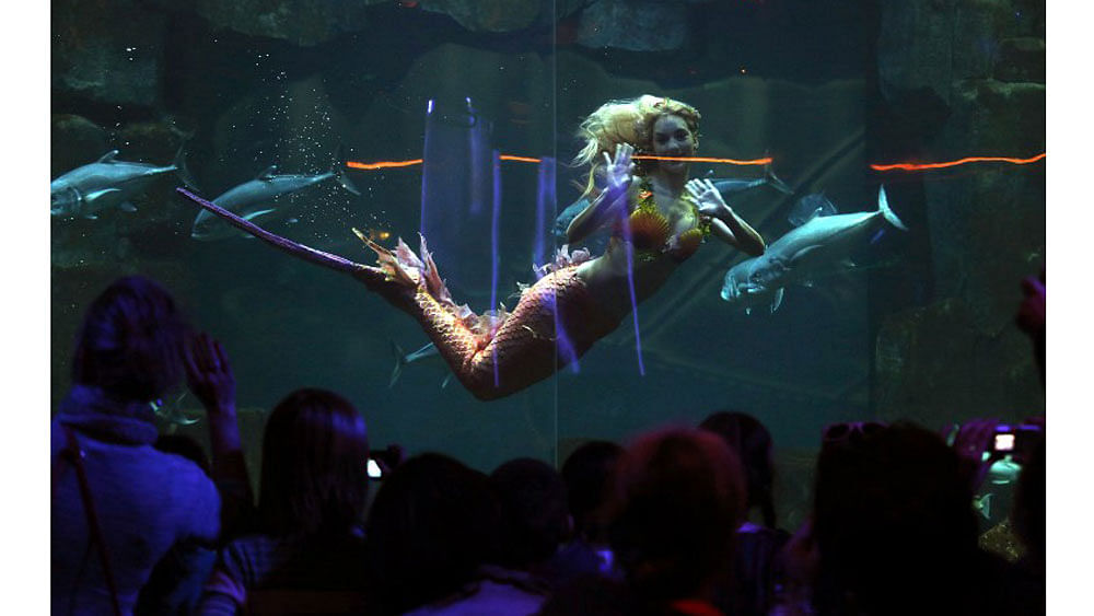 Performer Claire Baudet is pictured during her 10-minute show "Claire la sirene" (Claire the mermaid) at the Paris Aquarium on April 19, 2015. Photo: AFP