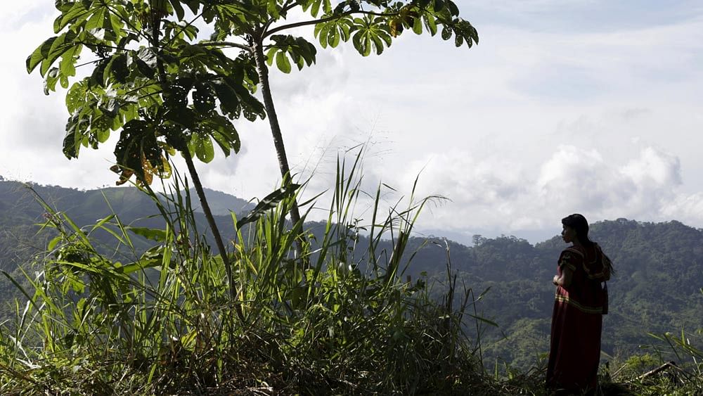 A Ngabe indigenous woman looks at the mountains in Hato Chami in the Ngabe-Bugle Region, Panama August 28, 2015. Photo: Reuters