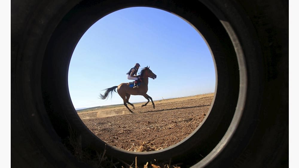 A Palestinian rider competes during a local horse race near the West Bank city of Jenin August 28, 2015. Photo: Reuters