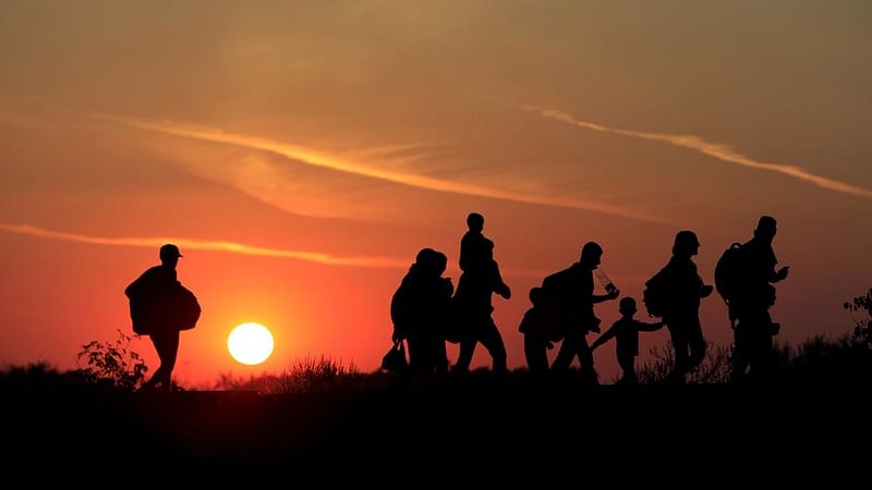 Migrants walk along in the sunset after crossing into Hungary from the border with Serbia near Roszke, Hungary, August 30, 2015. Photo: Reuters