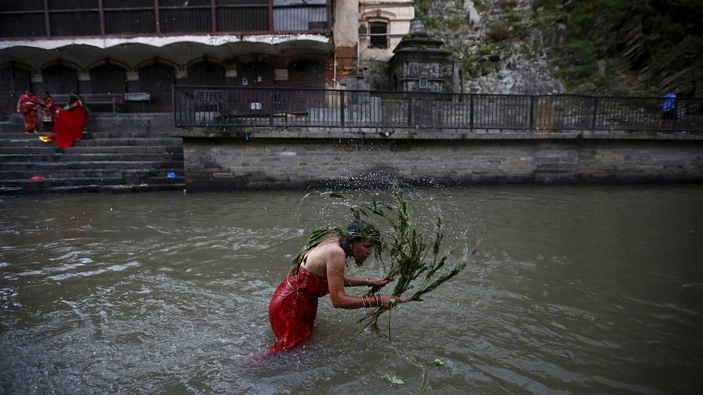 A woman lashes herself with the leaves of the Aghada plant at the Bagmati River, during the Rishi Panchami festival, in Kathmandu, Nepal September 18, 2015. Photo: Reuters