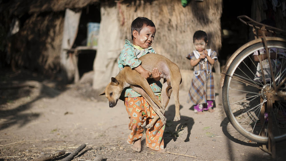 This photo is taken on January 14, 2016 shows a boy playing with a dog in Taik Kyi village on the outskirts of Yangon. Reuters