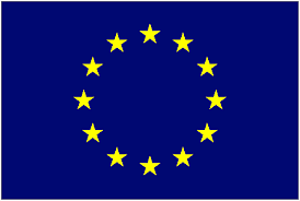 European Union flag Credit: EU website