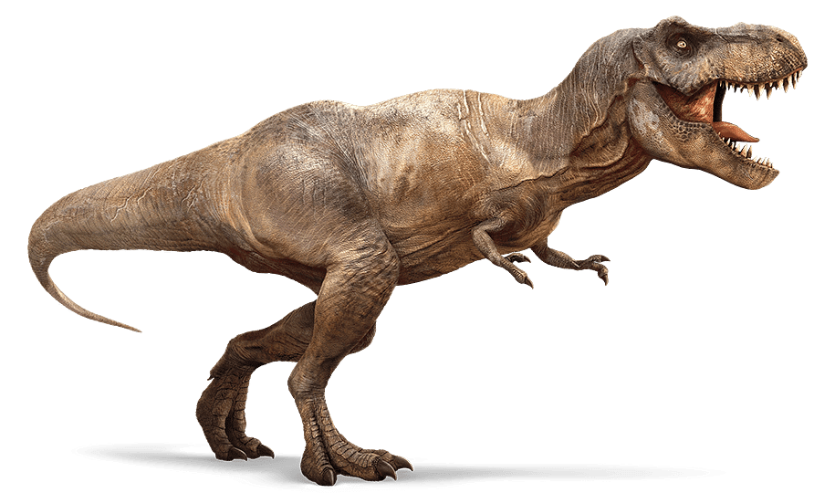 Imagine T. Rex. Now Imagine It With Lips. - The New York Times