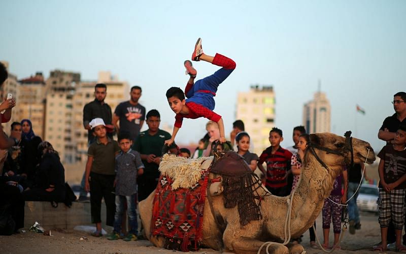 Palestinian boy Mohamad al-Sheikh, 12, who is nicknamed `Spiderman` and hopes to break the Guinness world records with his bizarre feats of contortion, demonstrates acrobatics skills on a camel at a beach in Gaza City June 2, 2016. Photo: Reuters