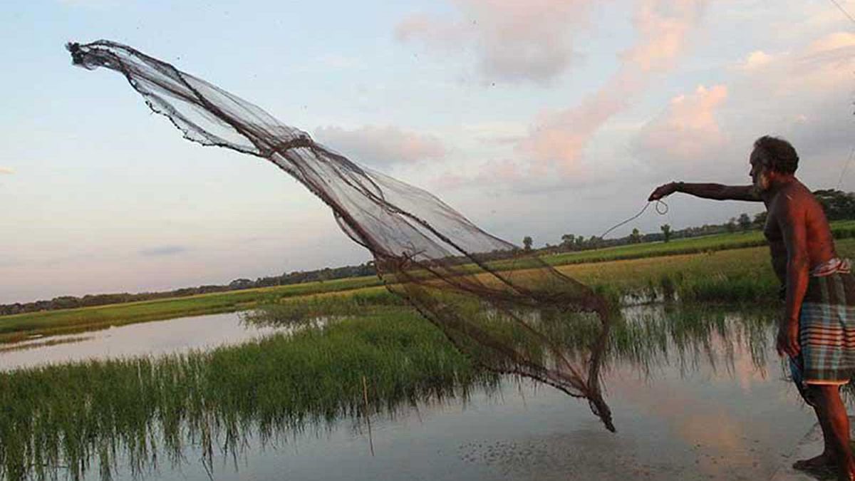 A man fishes in a water body in Faridpur sadar upazila on Monday afternoon. Photo: Alimuzzaman