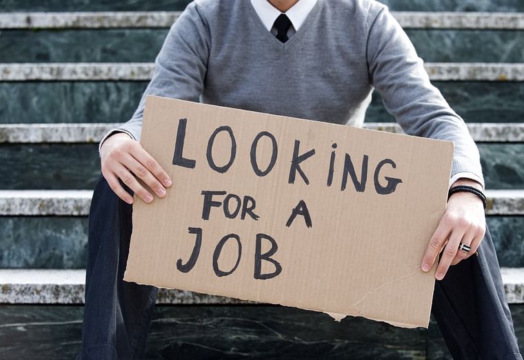 Job market crash scares job seekers